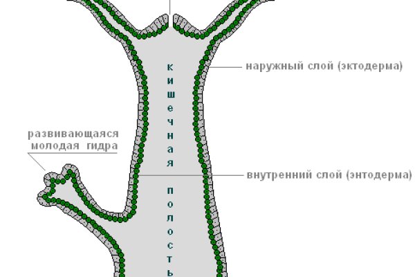 Кракена точка нет