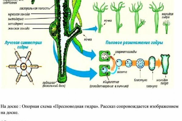 Через какой браузер можно зайти на кракен