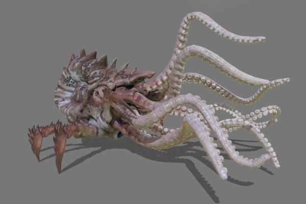 Kraken https